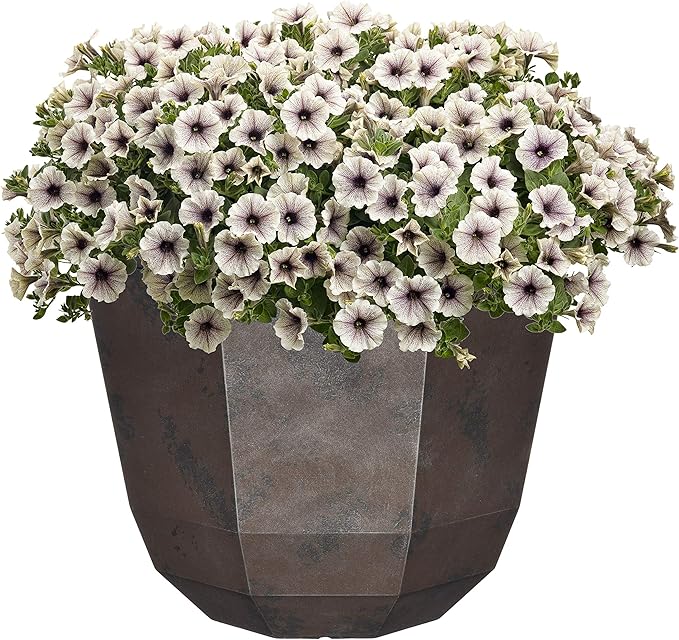 Classic Home and Garden Premiere Collection Planter, Shaina 15", Northern Lights