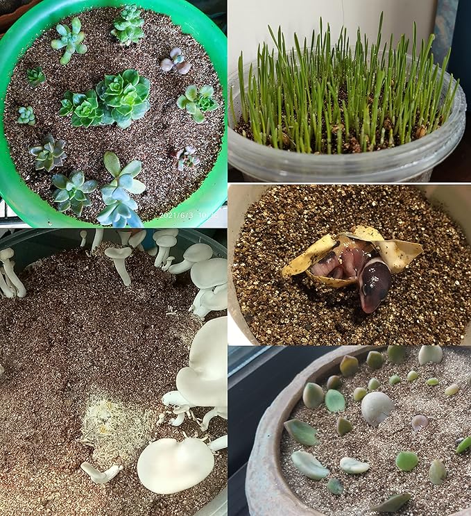 2 QT Professional Grade Horticultural Organic Vermiculite (2 QT, Vermiculite)