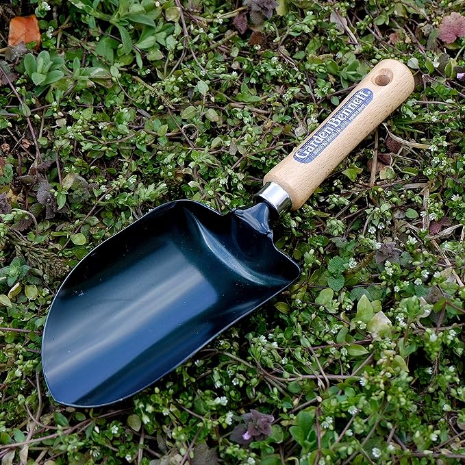 Garden Helper Soil Scoop Garden Tool, Large Loose Soil Scooper Tool for Transplanting and Gardening, Heavy Duty Japanese Steel Balde, Wood Handle, Made in Japan
