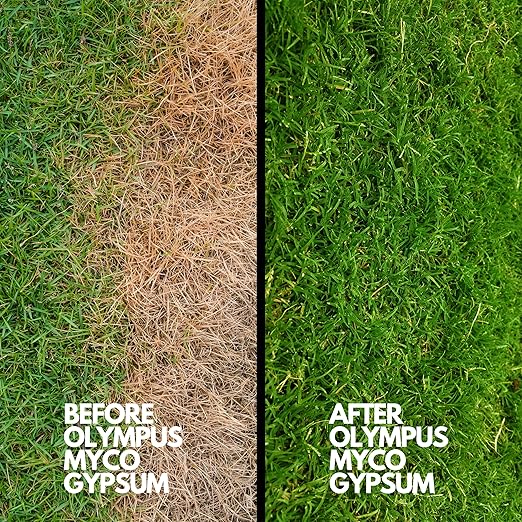 Gypsum Powder for Mushroom Substrate (10 lb), Lab Grade, Soil Amendment (Calcium Sulfate Dihydrate), Packaged in HEPA Enclosure