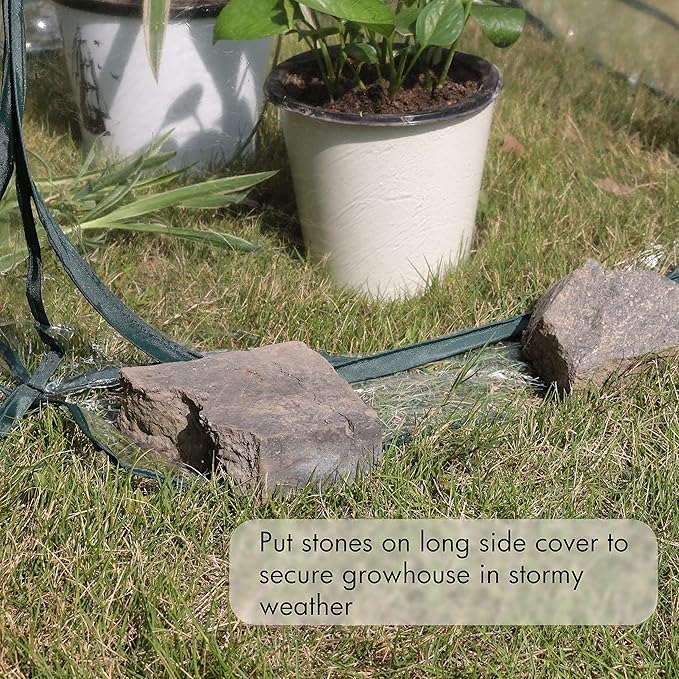Gardzen 2-Pack 27"x27"x31" Pop up Grow Greenhouse Small Greenhouse, Portable Plant Flowers Mini Green House Cover for Outdoor & Indoor Use