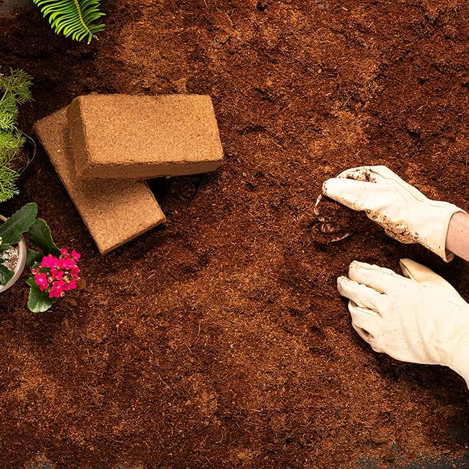 Coco Bliss Coco Coir Brick (650gm Brick) - Organic Coco Coir for Plants - OMRI-Listed Coconut Coir for Plants - Coconut Coir Brick - Coco Peat for Plants, Garden Soil, & Organic Mulch