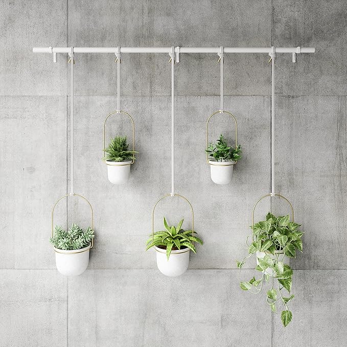 Umbra Triflora Hanging Planter for Window, Indoor Herb Garden, Set of 5, White/Brass