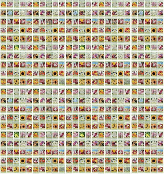 Black Duck Set of 500 Flower Seed Packets! Flower Seeds in Bulk - Best Value Seeds - Great for Classrooms, Beginner Gardeners and Kids! - Deluxe Varieties! (500)