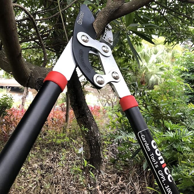 Gonicc Professional 30 inch SK-5 Steel Blade Anvil Lopper, 2-Inch Capacity, Sturdy Extra Leverage 22-Inch Handles, Garden Pruning Tree Hedge Branch Trimmer Clippers scissors.