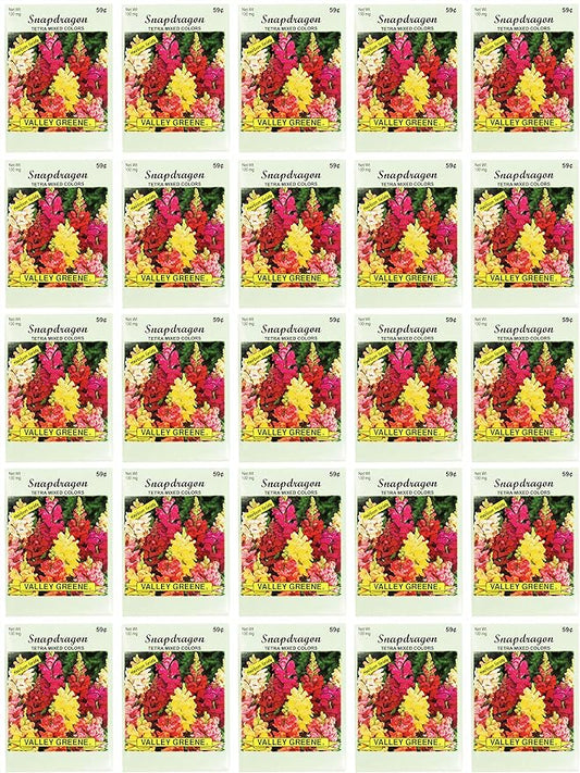 Black Duck Brand Set of 25 Snapdragon Tetra Mixed Flower Seed Packets! Flower Seeds in Bulk - Great for Creating The Garden of Your Dreams! (25, Snapdragon - Tetra Mixed Colors)