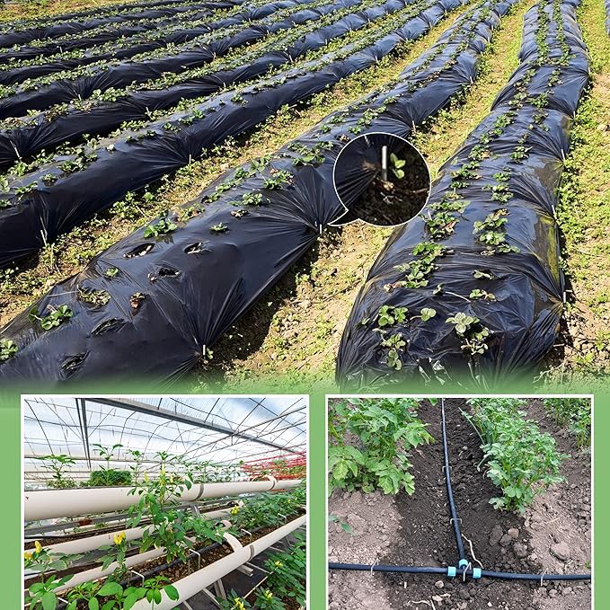 200 Pcs Garden Staples 6 Inch U-Shaped Landscape Staples,11 Gauge Heavy Galvanized Garden Staples are Suitable for Outdoor Fabric Irrigation Hoses, Artificial Turf Nails, Fixed Fences and Tents.